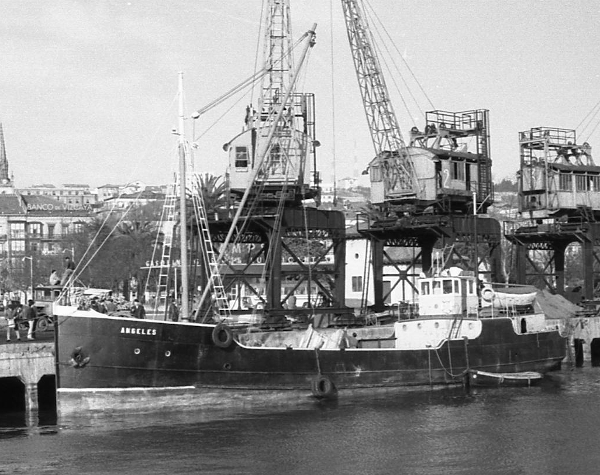 Angeles por T. Diedrich Angeles por T. Diedrich